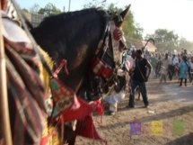 Hawan Daushe Sallah Babba 2013 pics_75